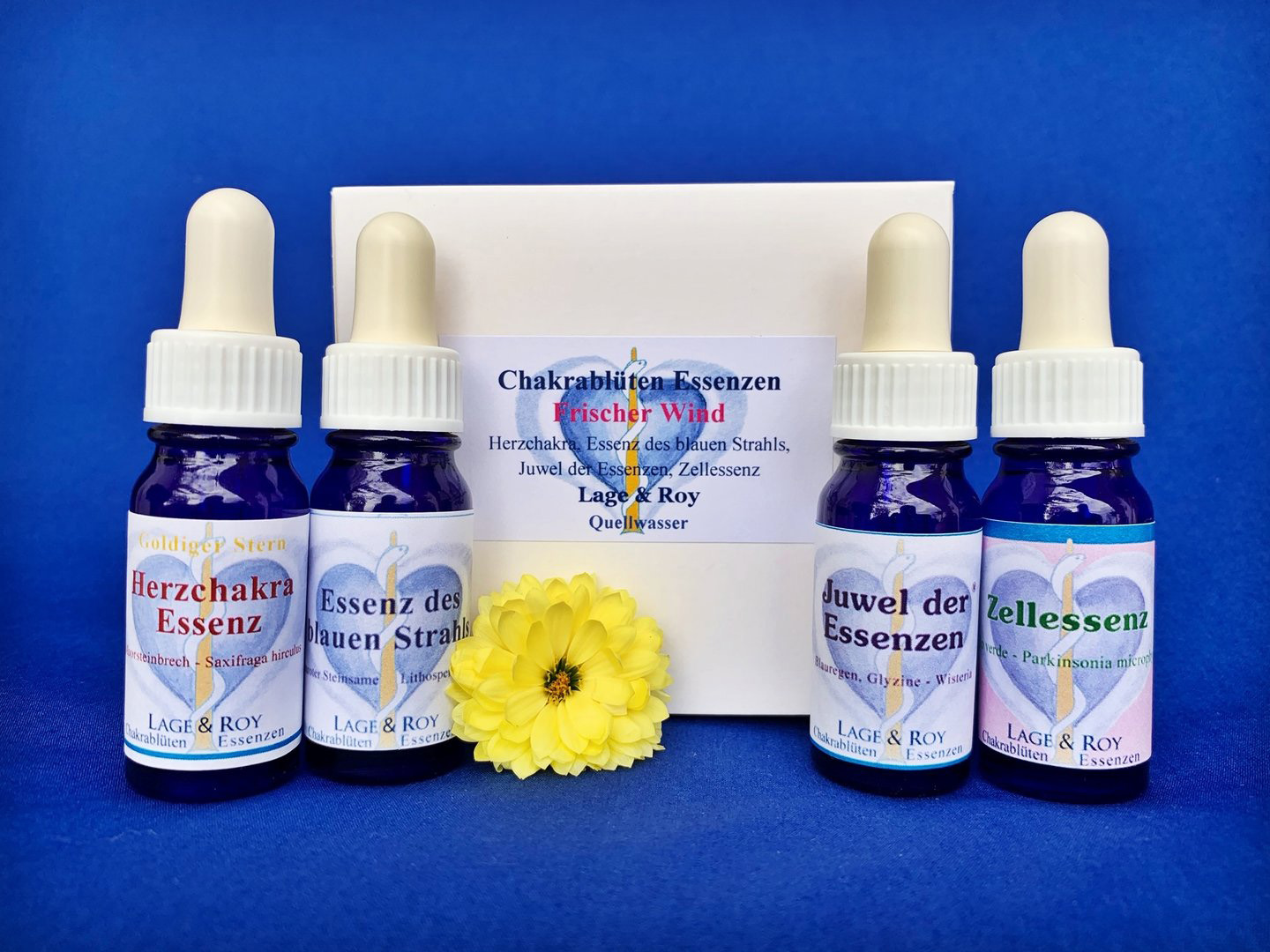 Frischer Wind für Ihren Geist