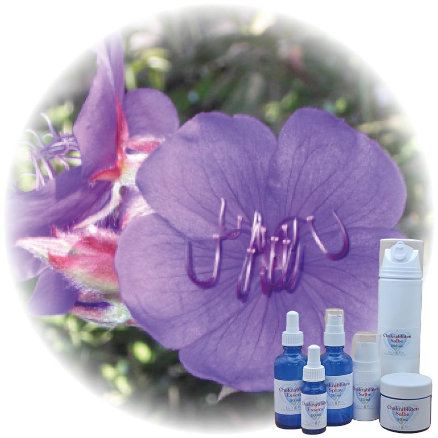 Princess Flower Essenz