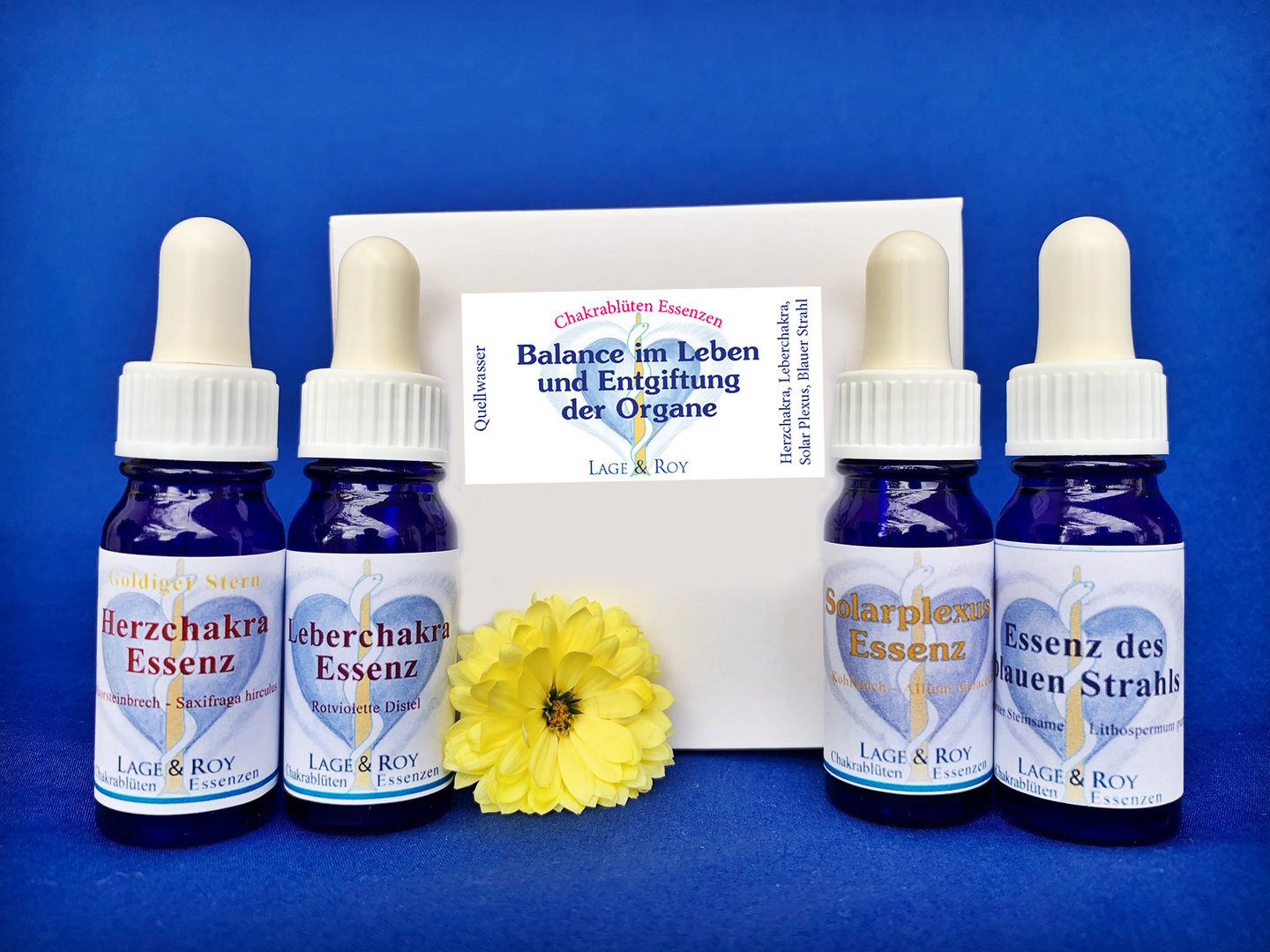 Balance im Leben und Entgiftung der Organe