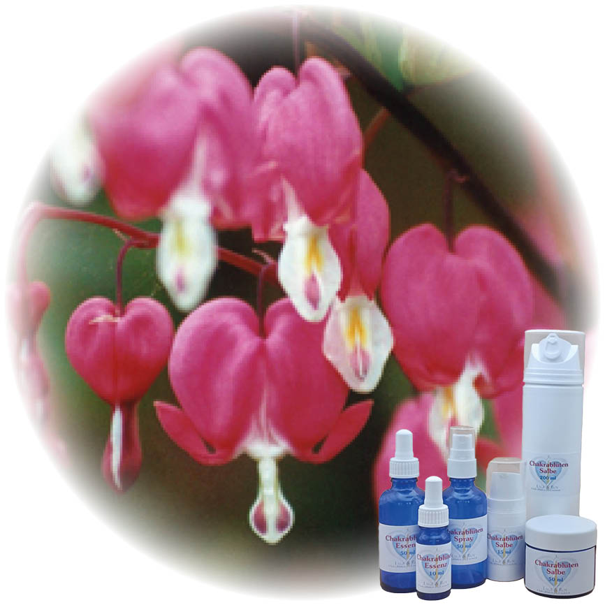 Tränendes Herz Essenz