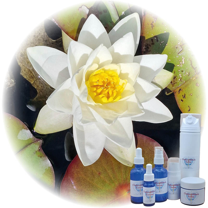 Licht des Herzens Essenz