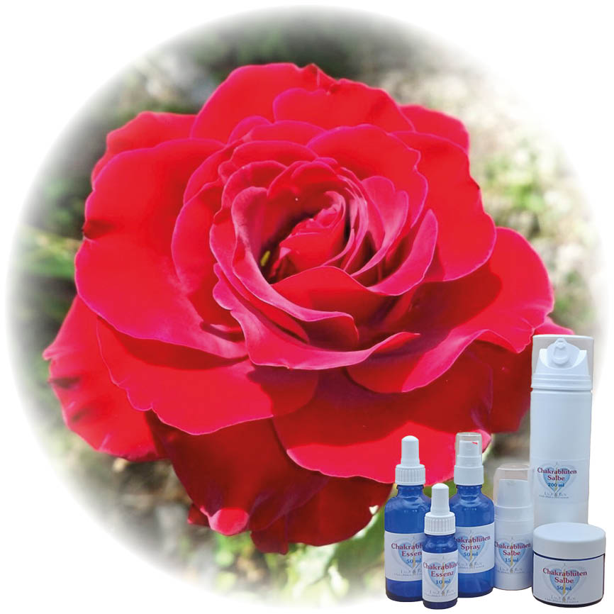 Lachendes Herz Essenz