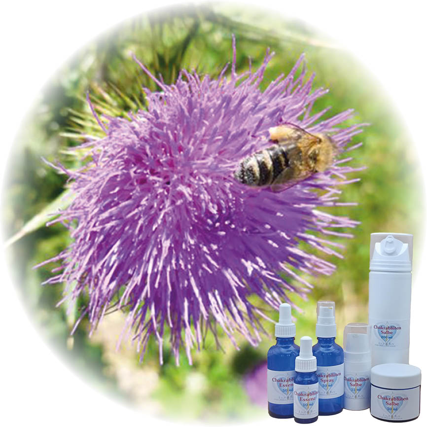 Leberchakra Essenz